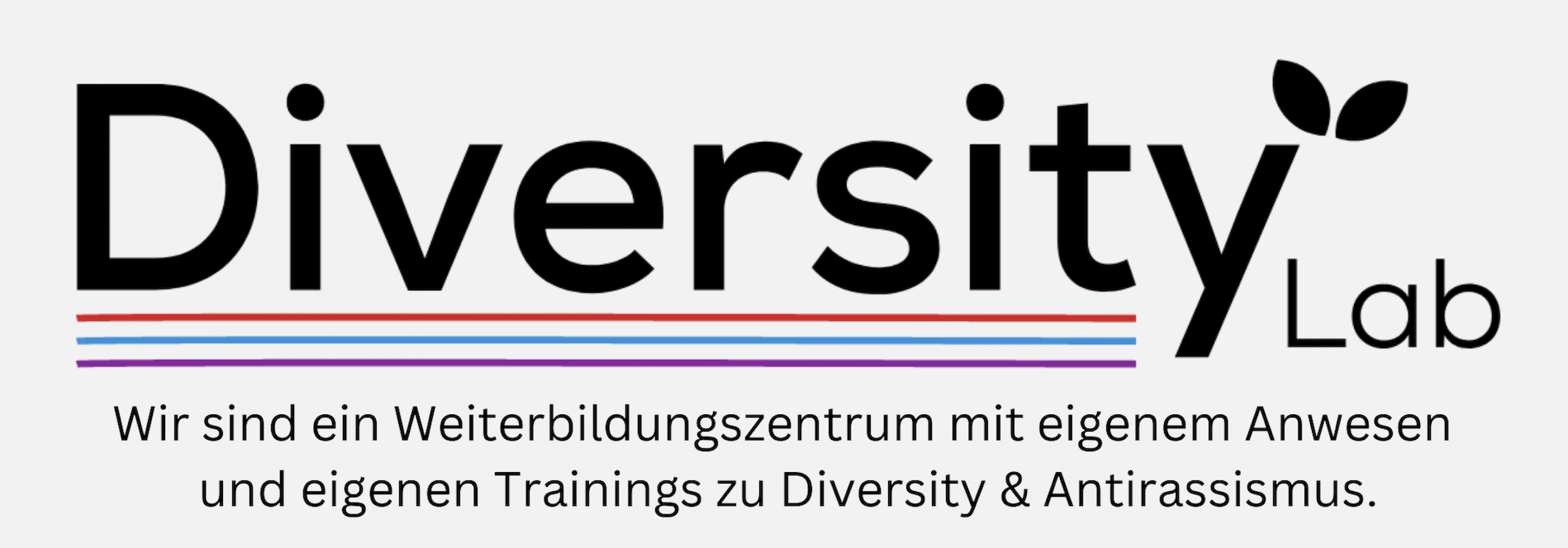 Logo vom Diversity Lab